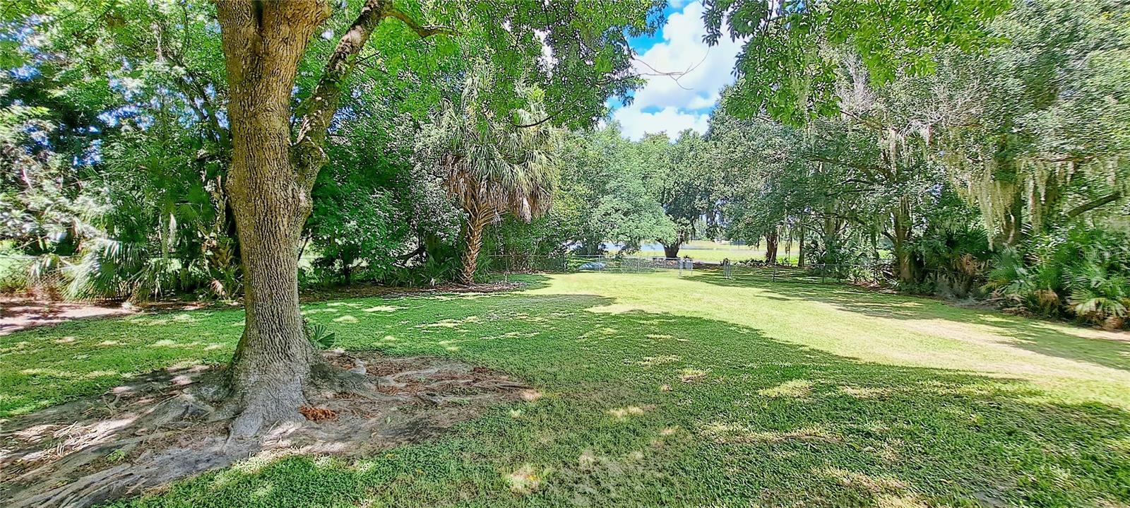 3017 Bay Lake Rd Property Photo 24