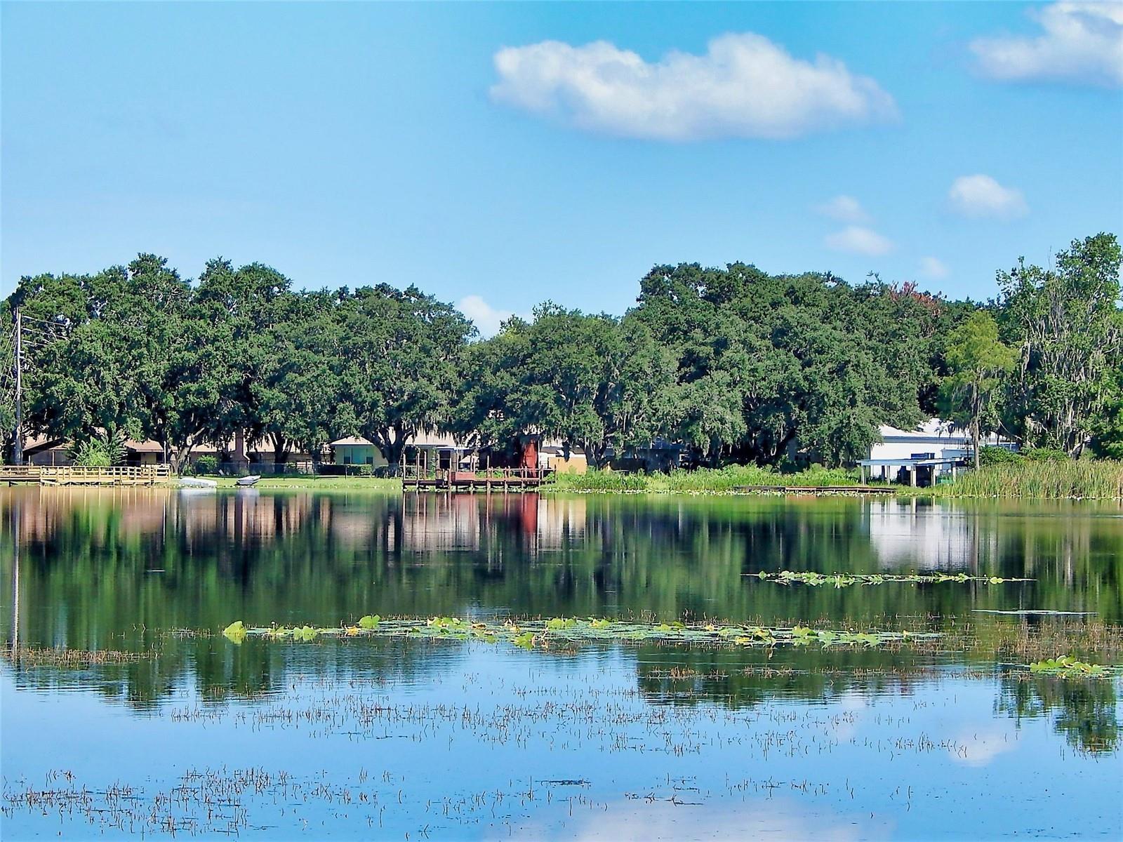 3017 Bay Lake Rd Property Photo 27