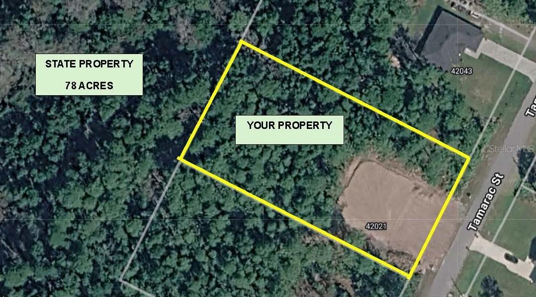 42021 Tamarac St Property Photo 3