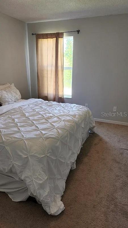 254 Bridge Creek Blvd Property Photo 22