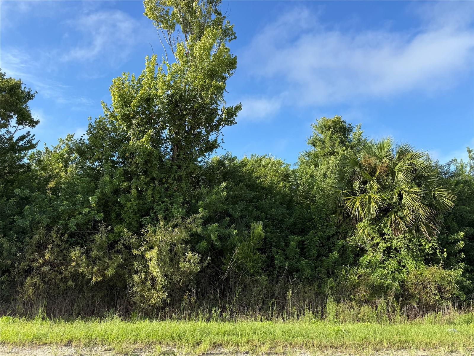 720 Shady Hallow Blvd W Property Photo 4