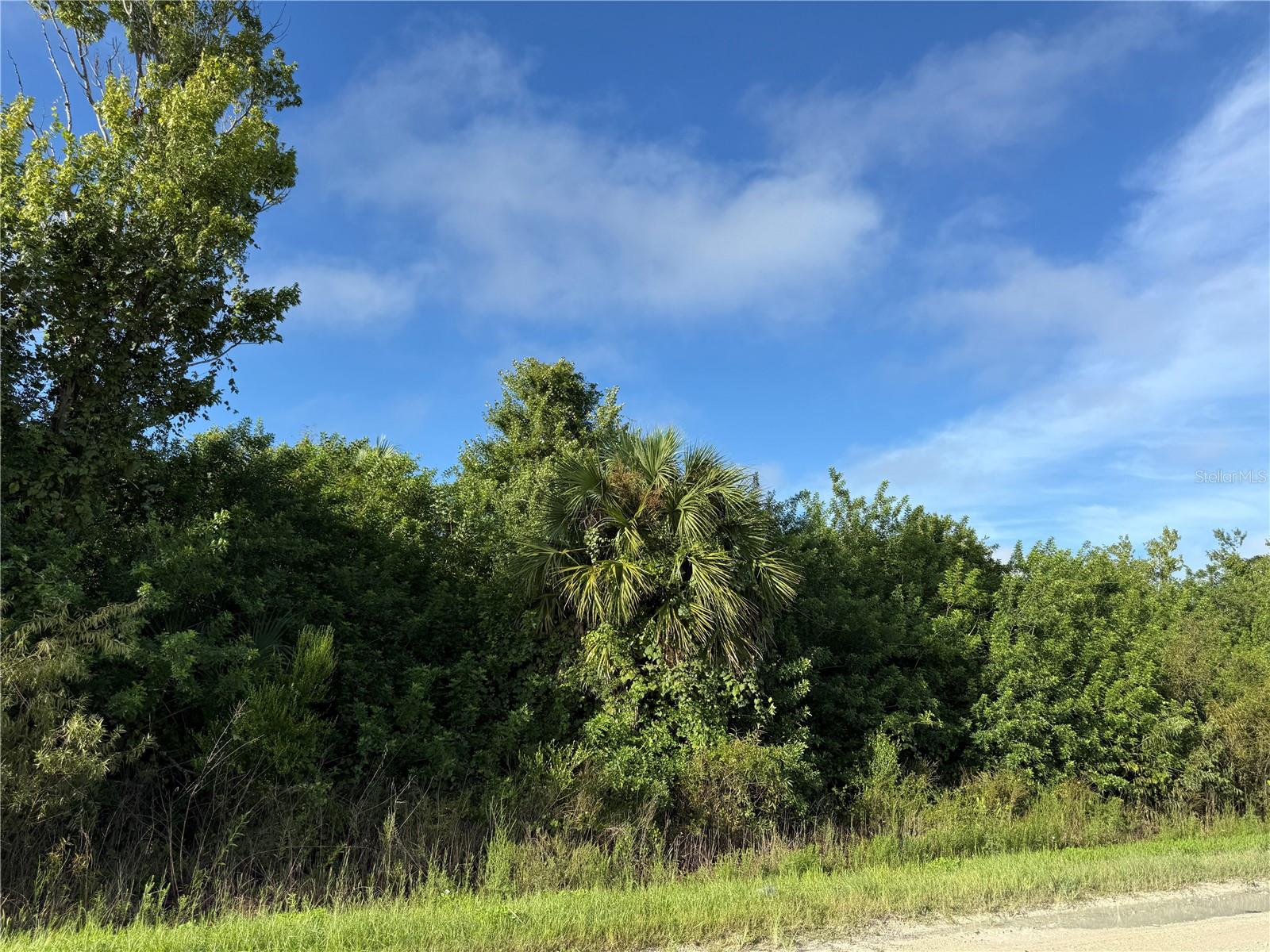 720 Shady Hallow Blvd W Property Photo 8