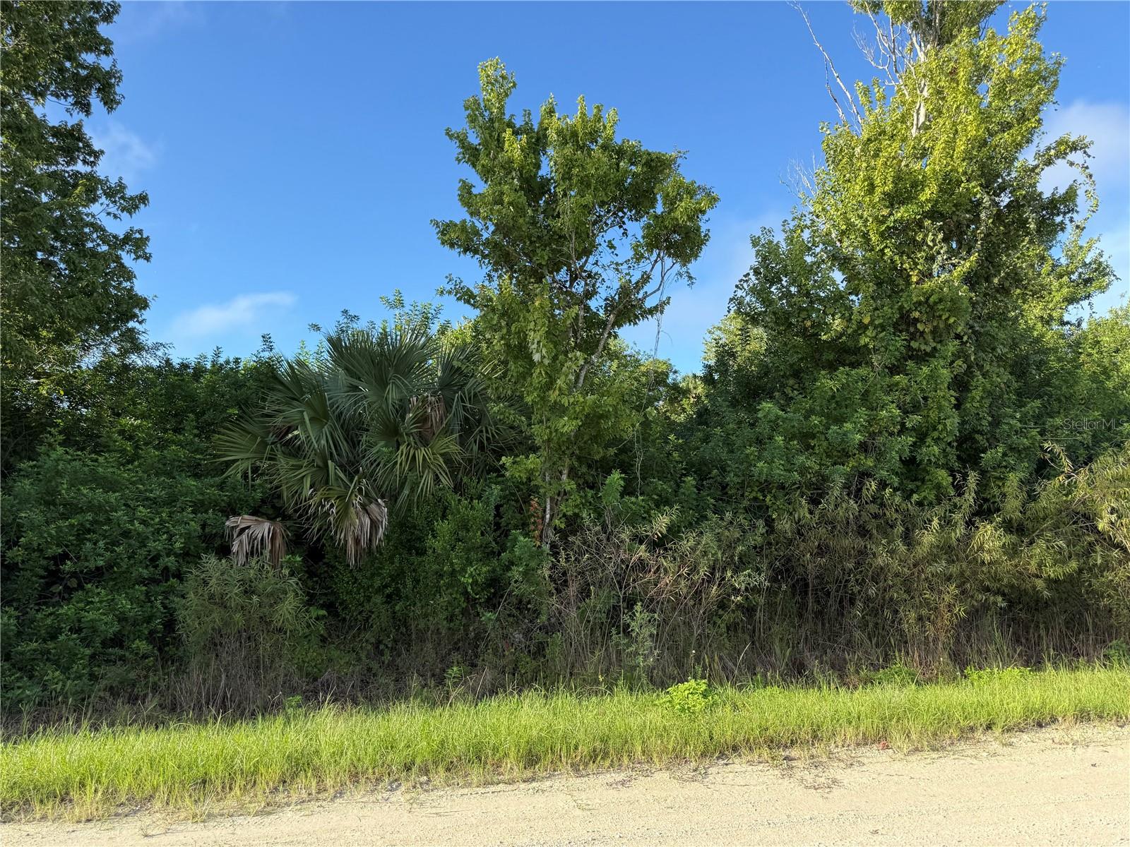 720 Shady Hallow Blvd W Property Photo 10