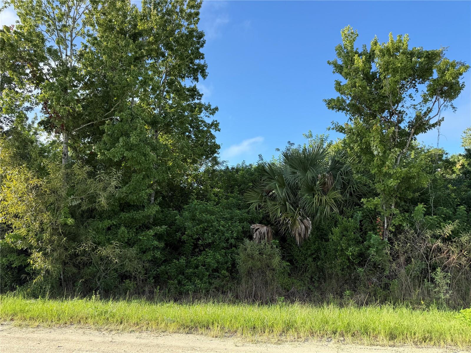720 Shady Hallow Blvd W Property Photo 11
