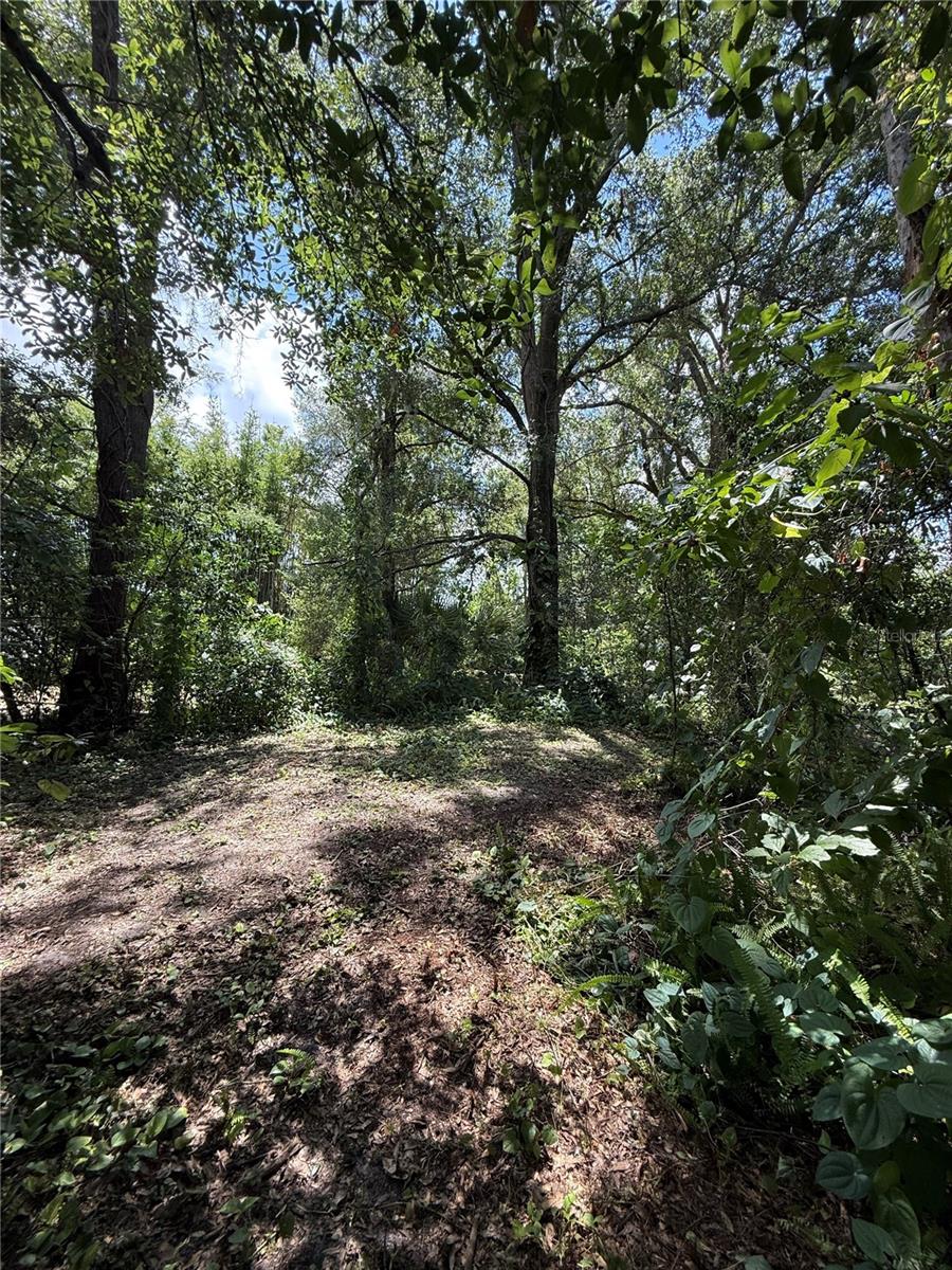 Matchett Property Photo 3