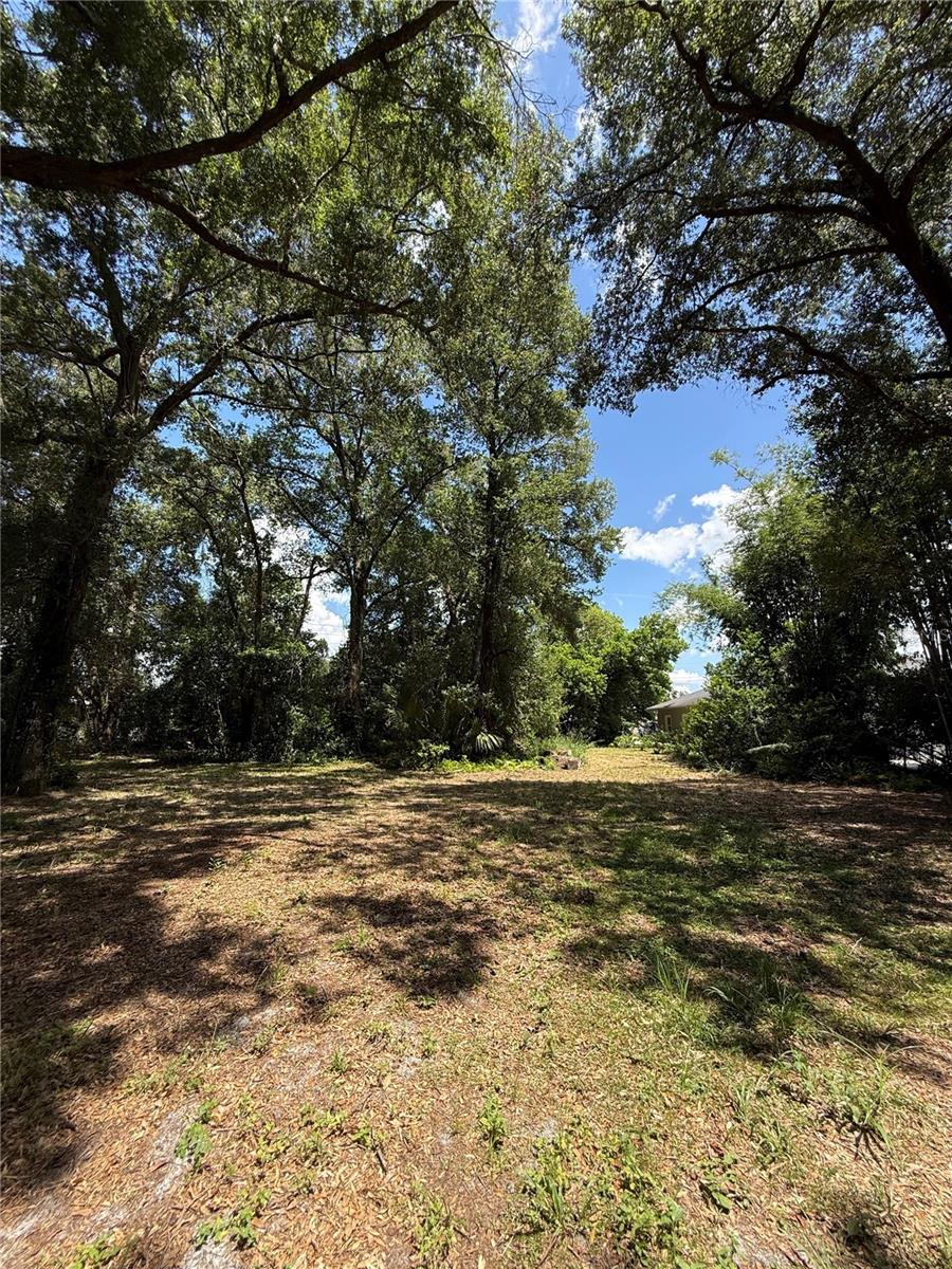 Matchett Property Photo 5