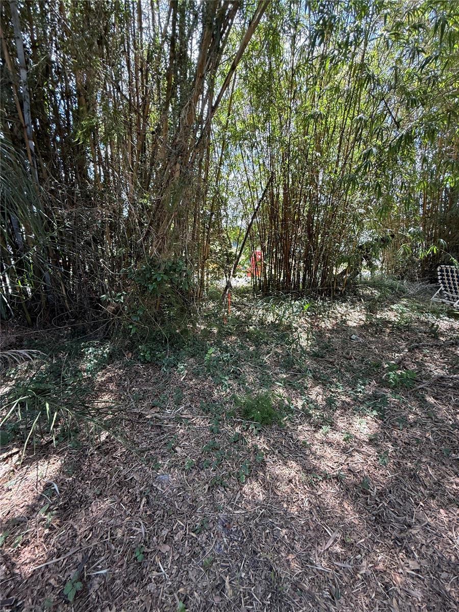 Matchett Property Photo 6