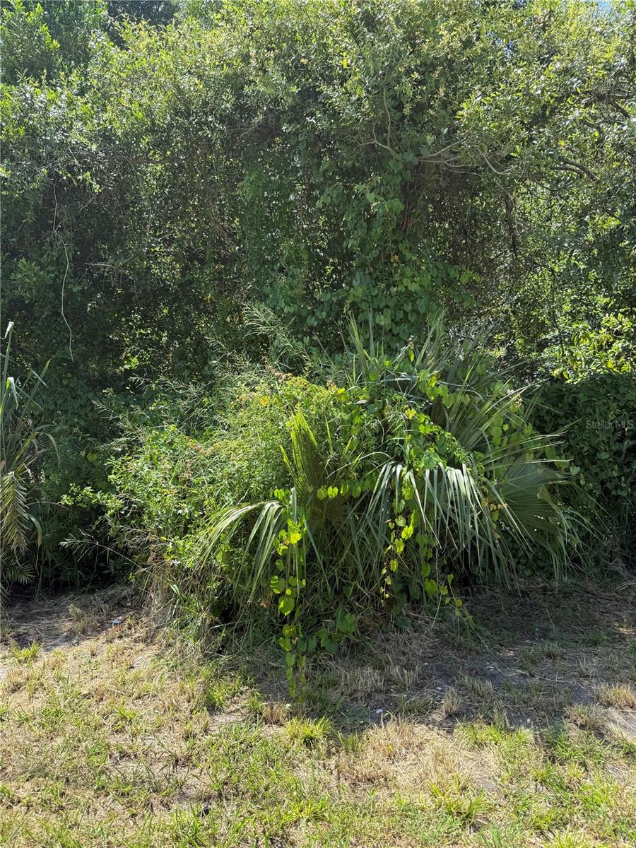 Matchett Property Photo 8