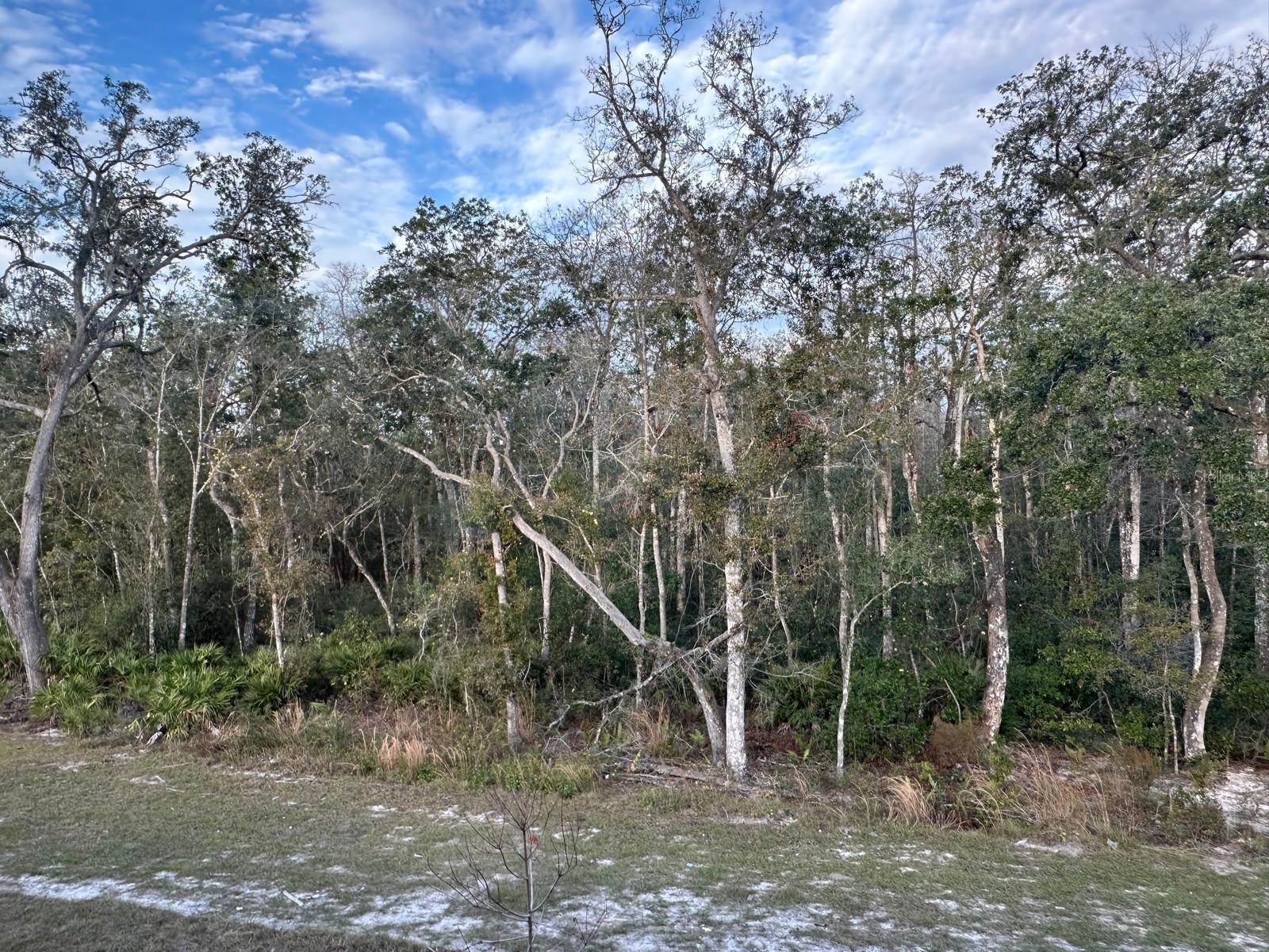 11111 Wishing Cloud Rd Property Photo 13