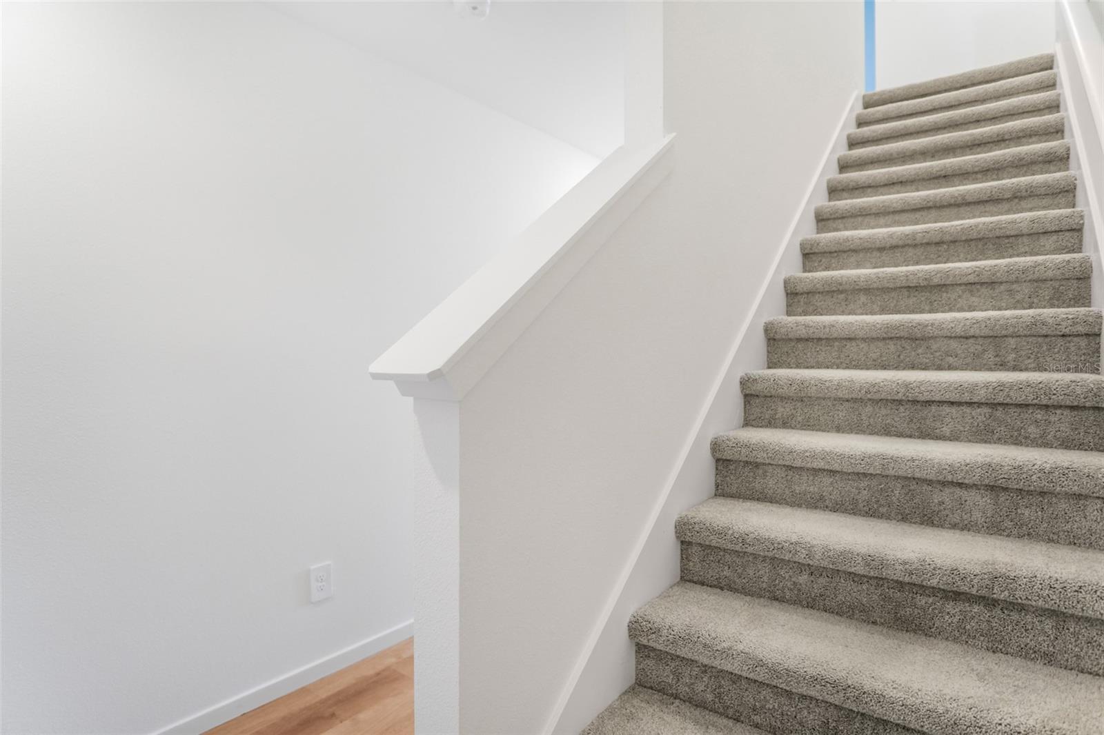 931 Phoenix St Property Photo 4