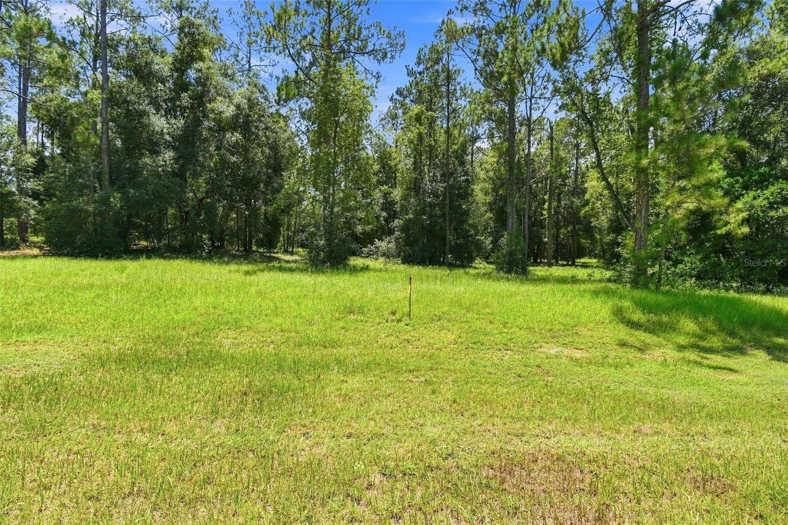 24150 Greenwood Xing Property Photo 3