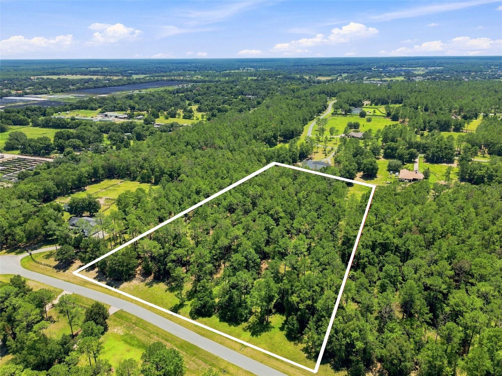 24150 Greenwood Xing Property Photo 4