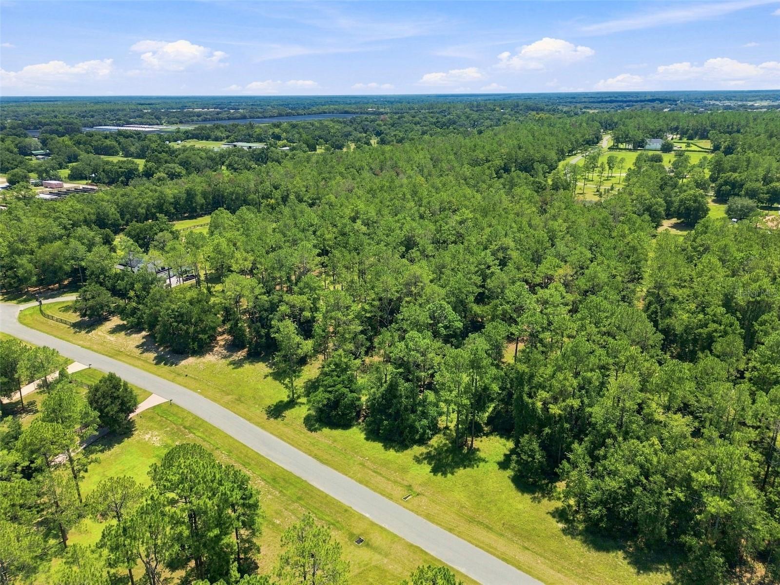 24150 Greenwood Xing Property Photo 11