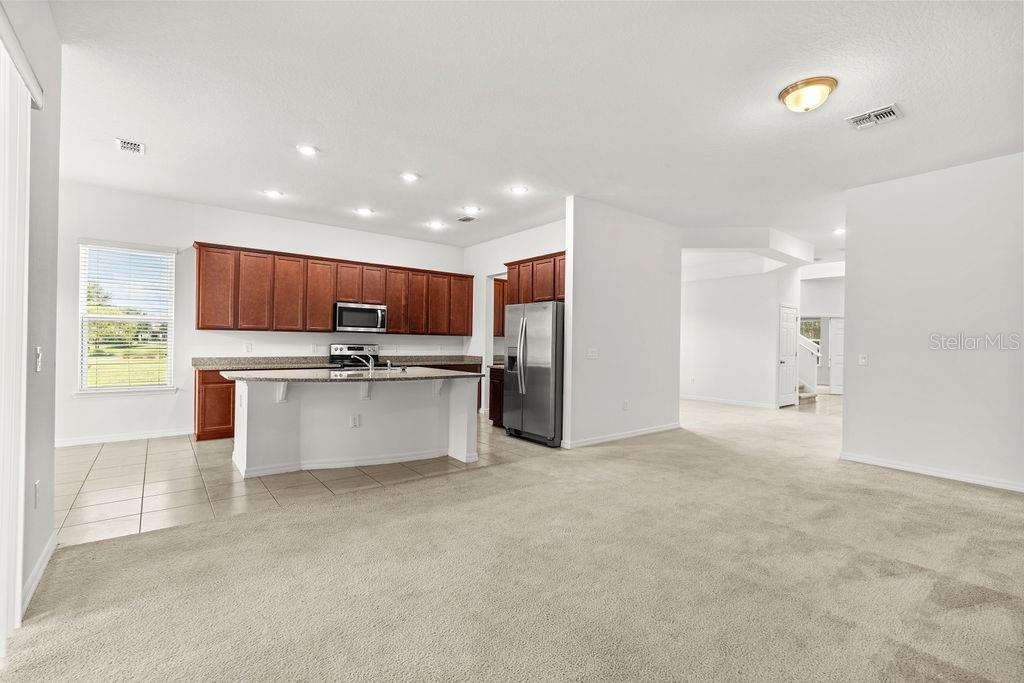 12832 Westside Village Loop Property Photo 14