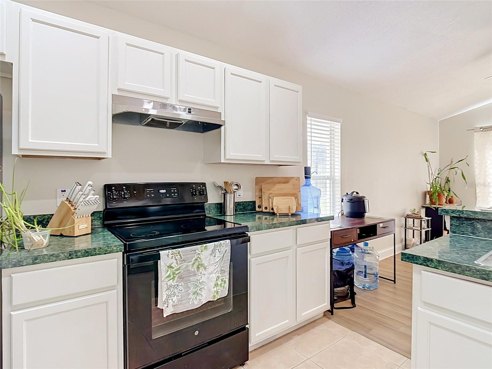 1128 Pinedale Dr Property Photo 37
