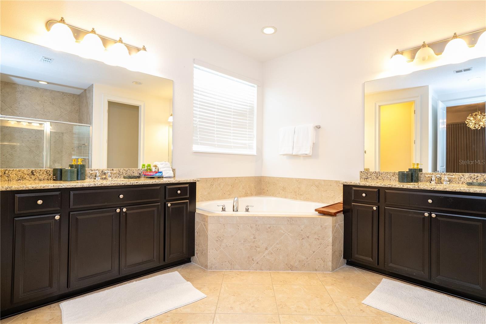 17526 Black Rail St Property Photo 83