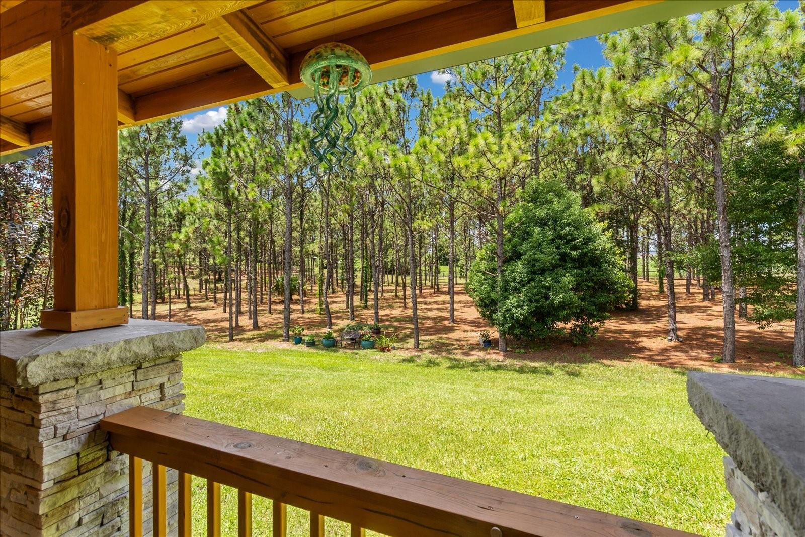 5208 Effie Dr Property Photo 48