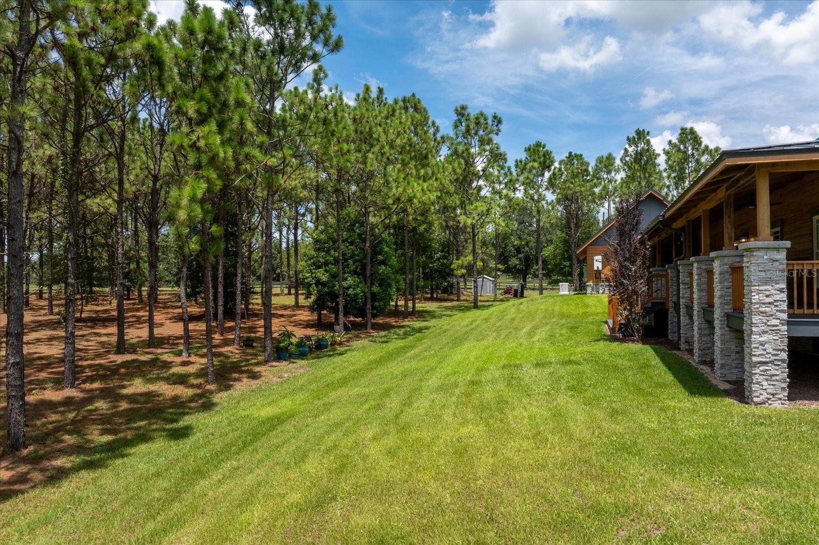 5208 Effie Dr Property Photo 66