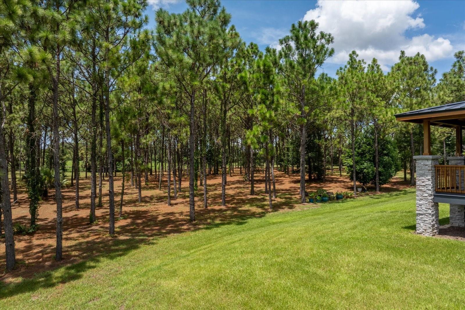 5208 Effie Dr Property Photo 67