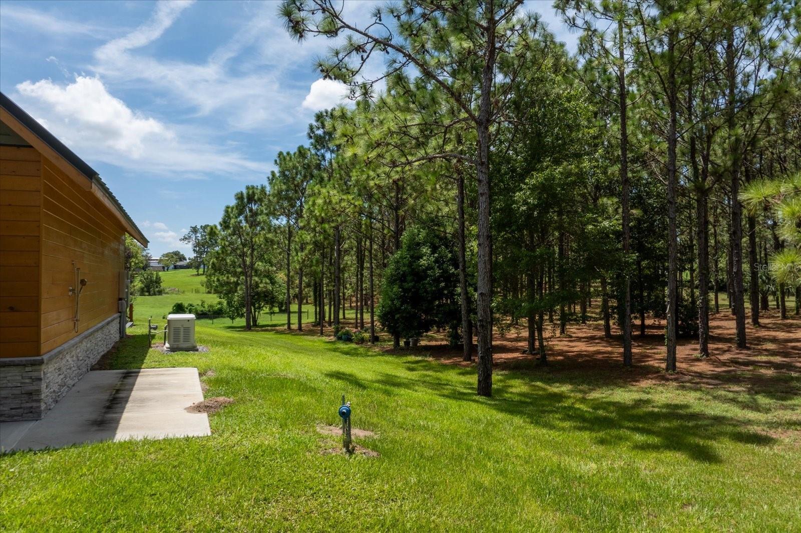 5208 Effie Dr Property Photo 70