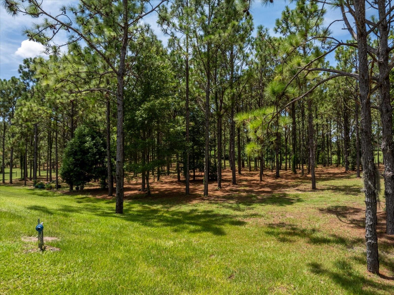 5208 Effie Dr Property Photo 71