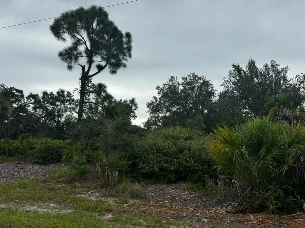 17459 PLAINS AVE Property Photo 1