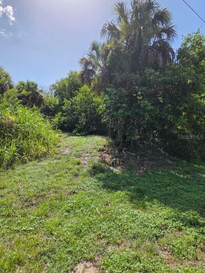 16980 Sw Conners Hwy Property Photo 3