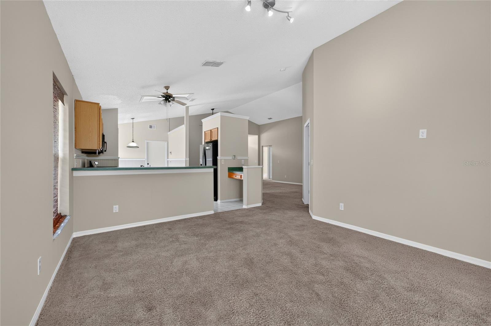 13617 Emeraldview Dr Property Photo 7