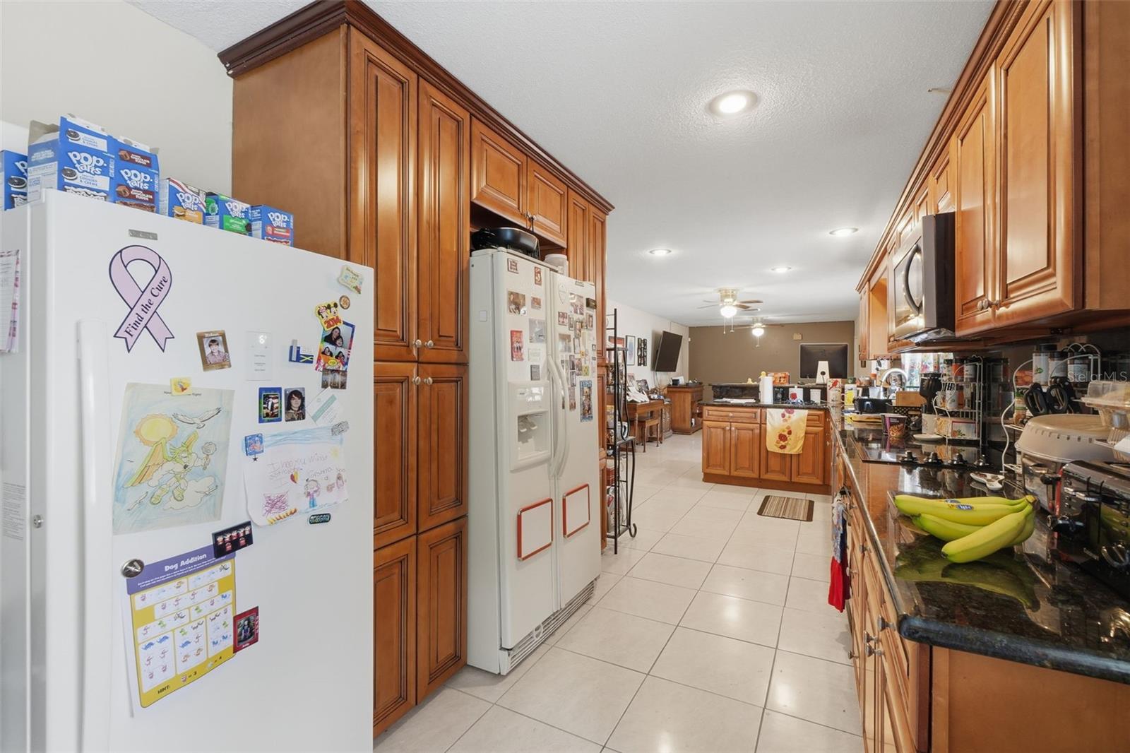 701 Milan Ct Property Photo 11