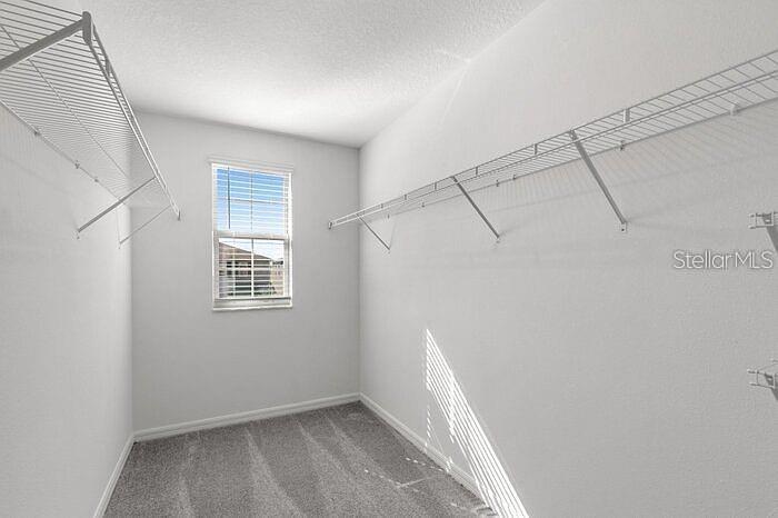 7222 Ronnie Garden Ct Property Photo 9