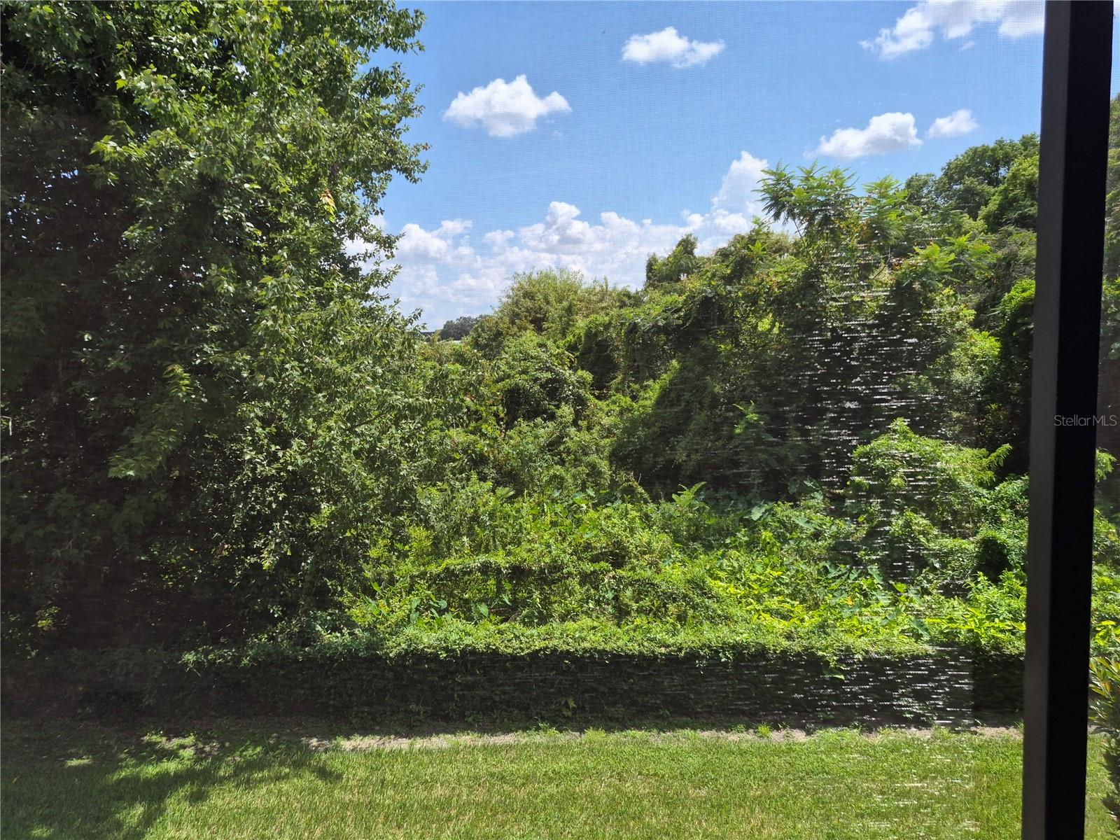 4101 Fairview Vista Pt #230 Property Photo 17
