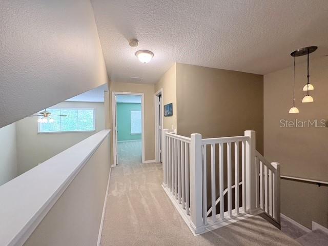 30 Chippendale Ter Property Photo 23