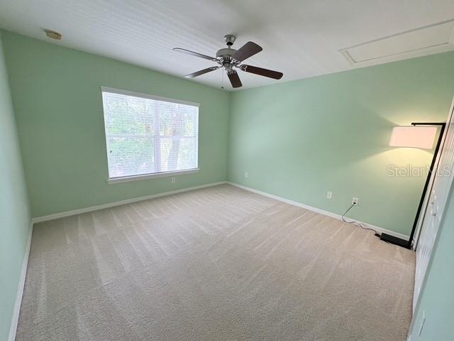 30 Chippendale Ter Property Photo 24