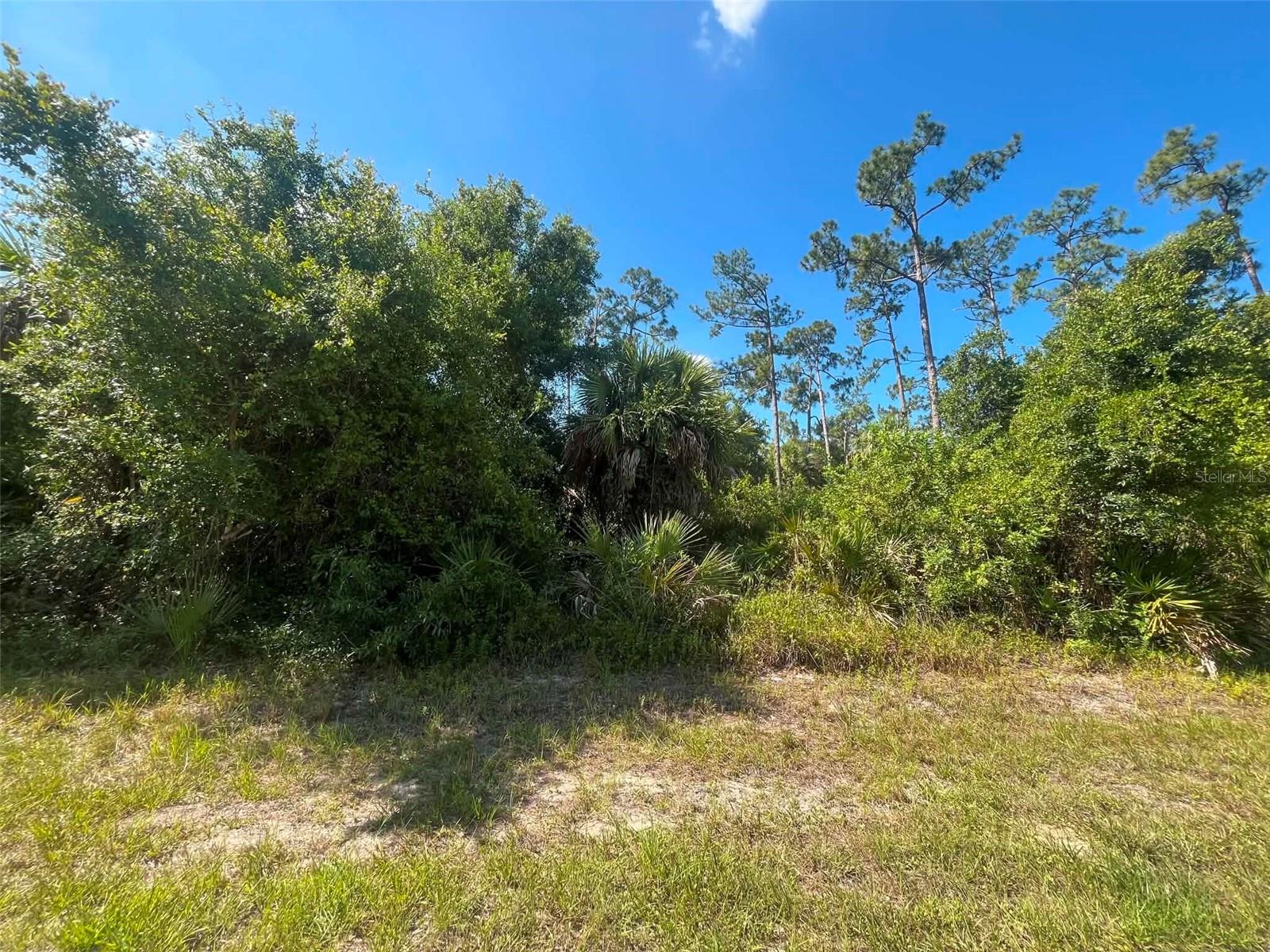 20277 Spangler Ter Property Photo 4