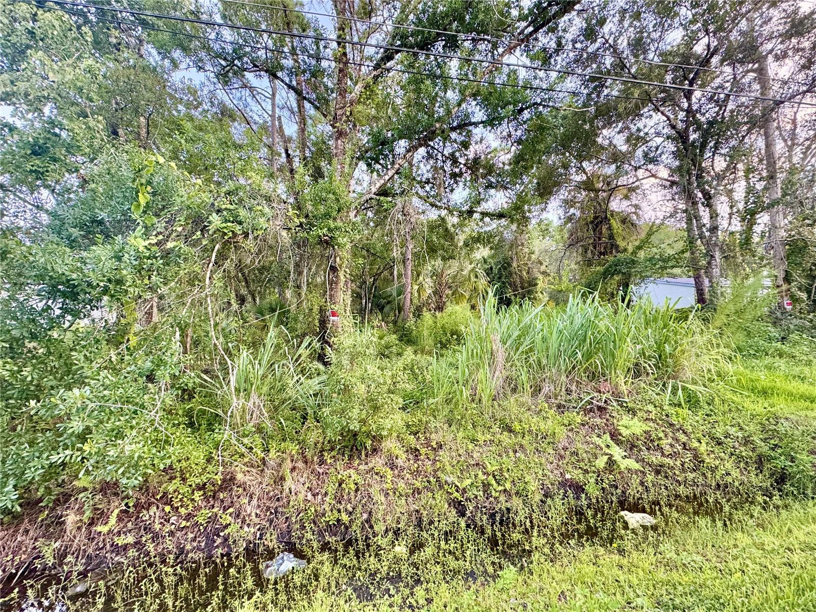 18704 16th Ave Property Photo 2