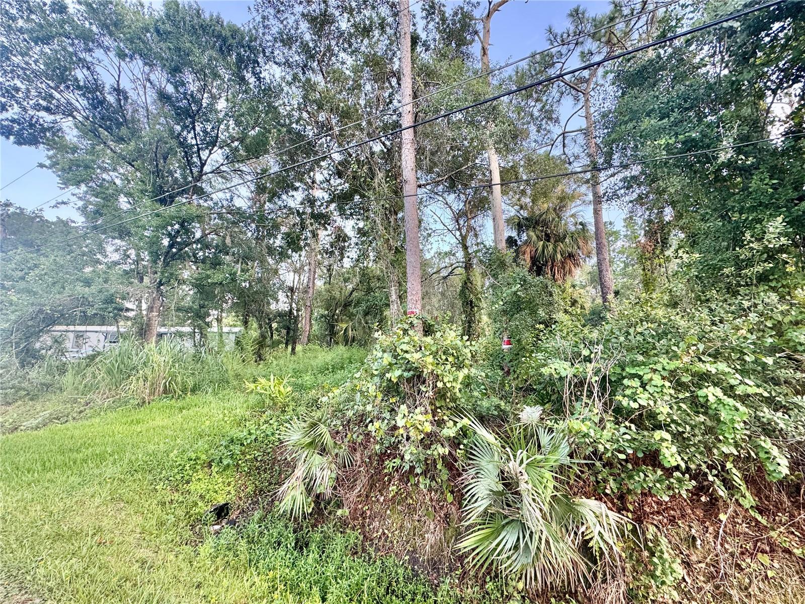 18704 16th Ave Property Photo 6