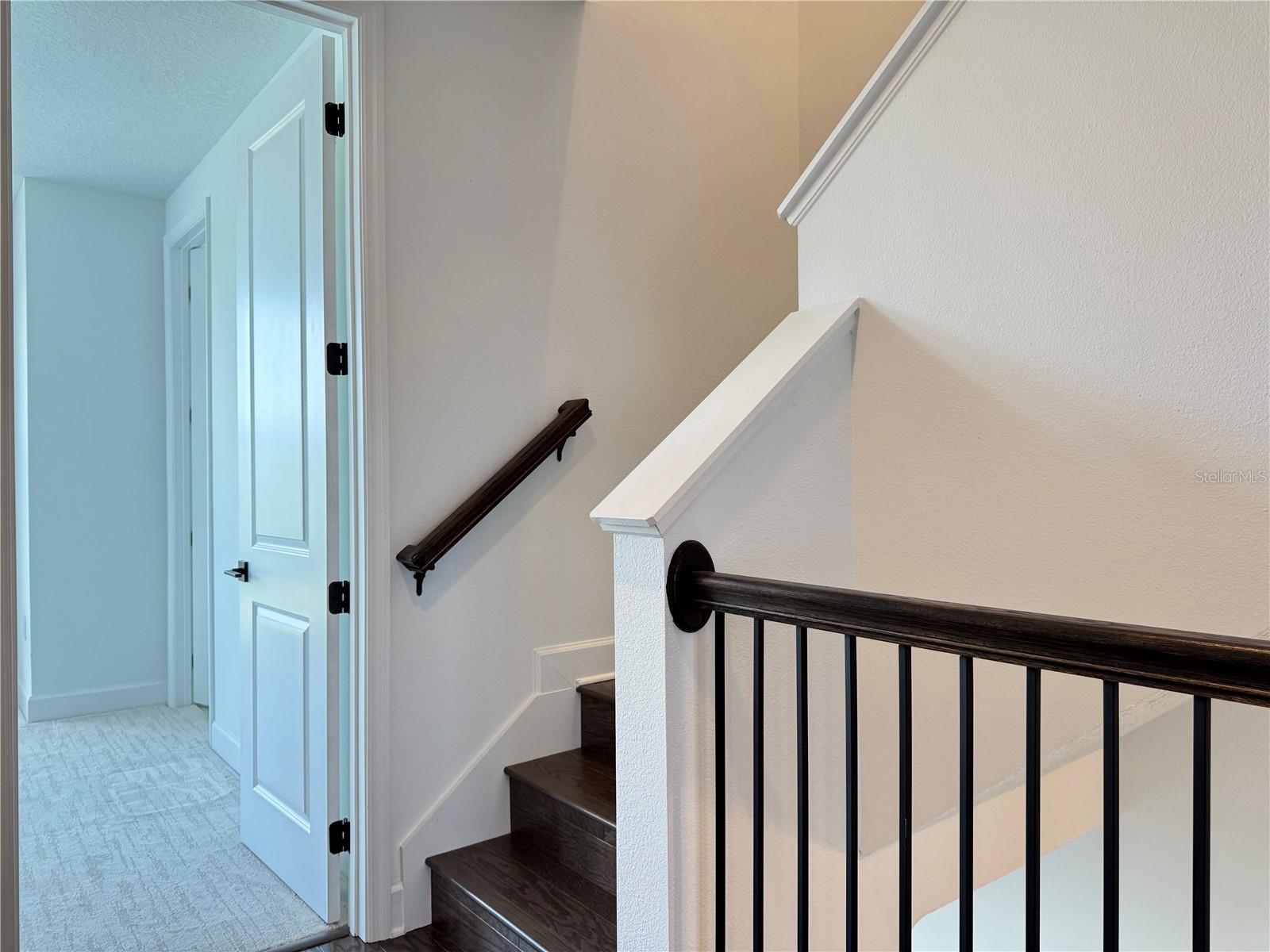 2362 Addalia Aly Property Photo 38