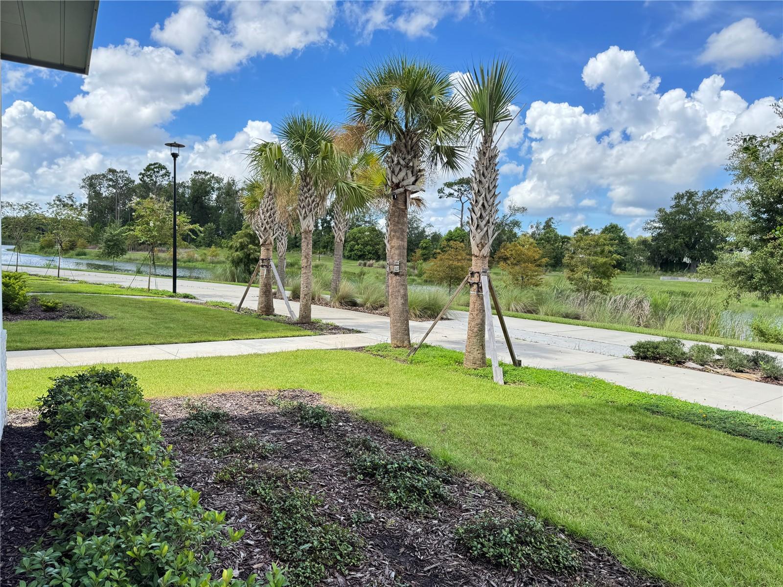 2362 Addalia Aly Property Photo 56