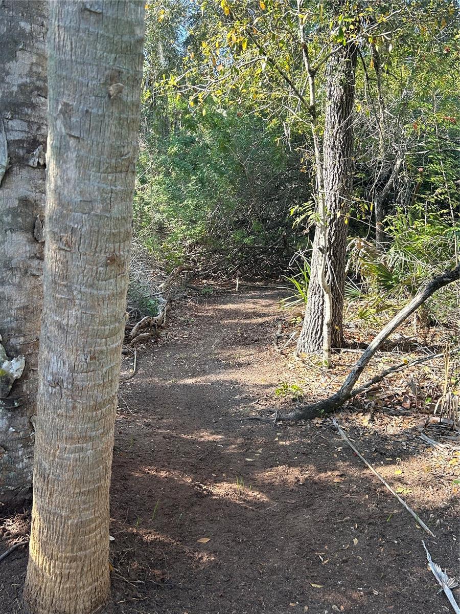 26051 Eaverson Rd Property Photo 2