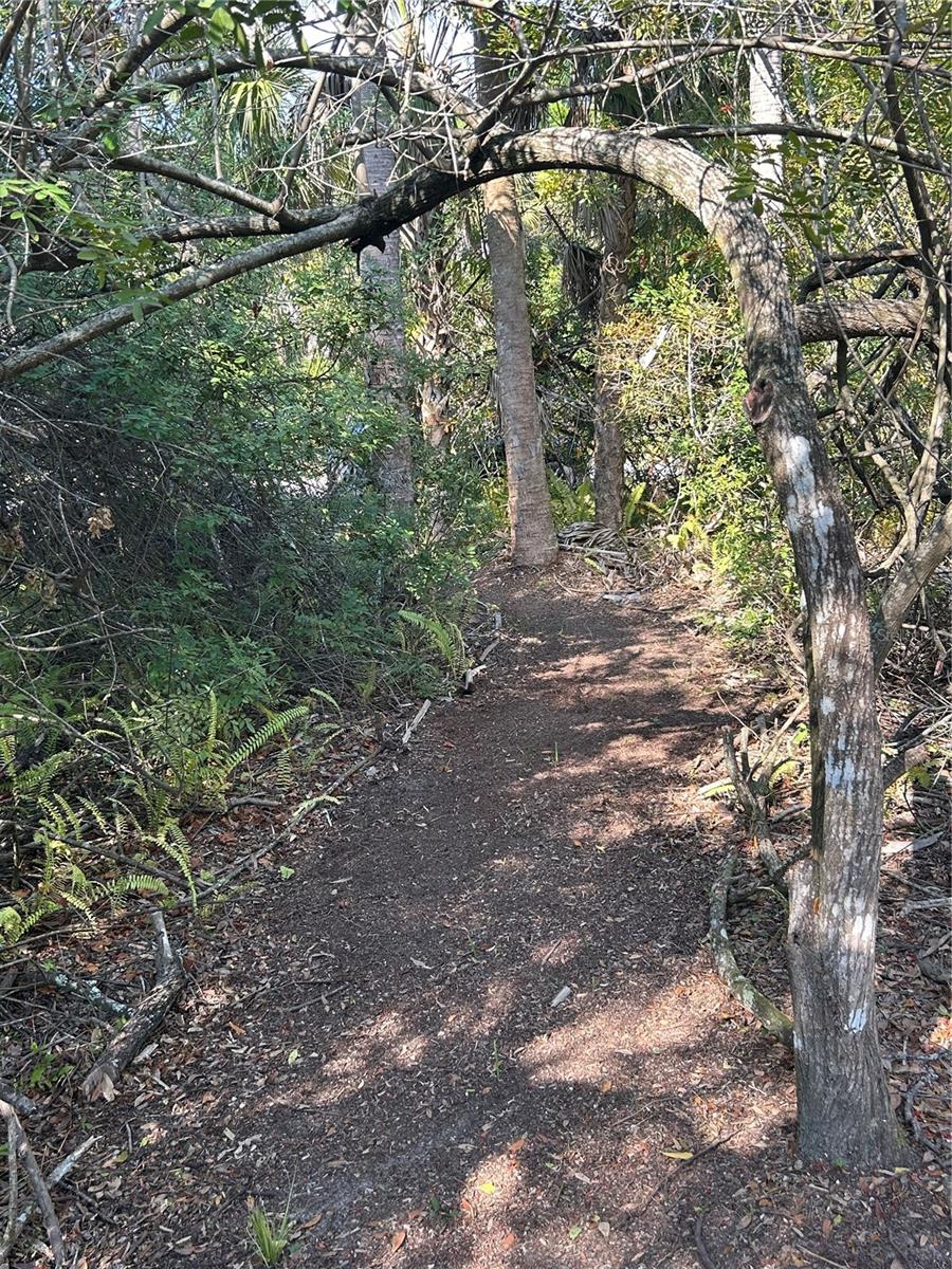 26051 Eaverson Rd Property Photo 3