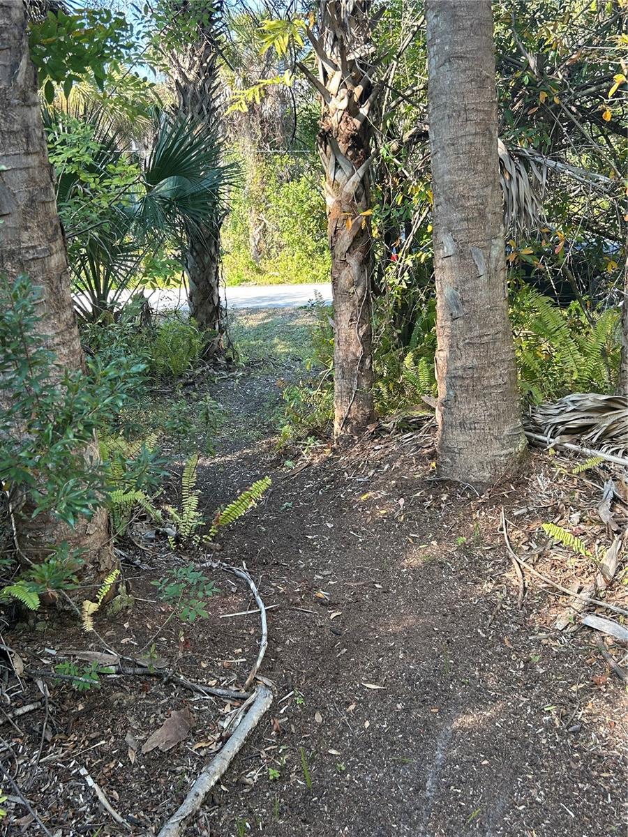 26051 Eaverson Rd Property Photo 4