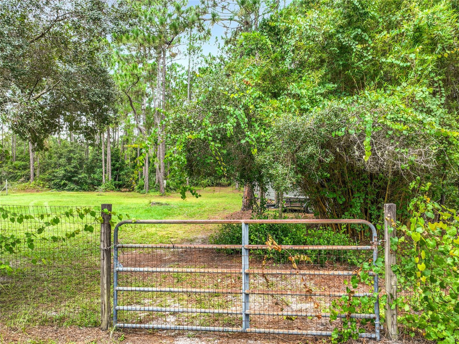 41821 Royal Trails Rd Property Photo 51