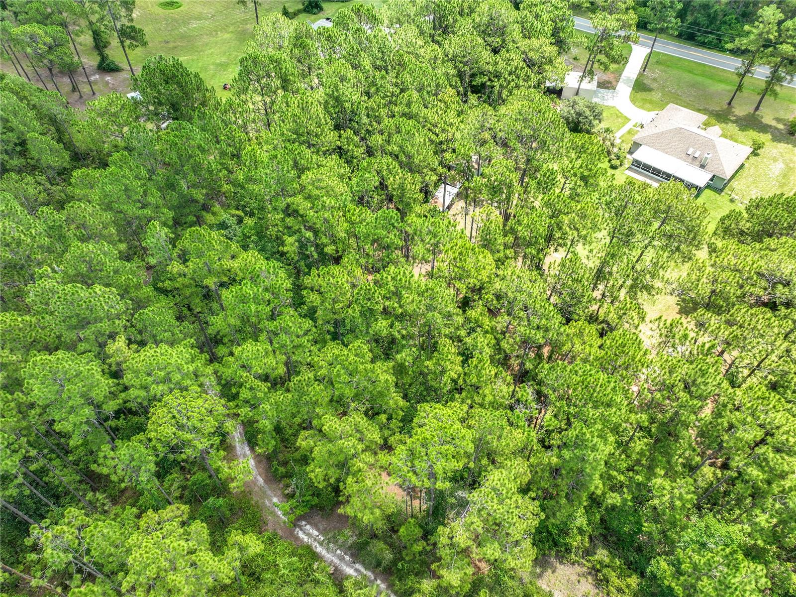 41821 Royal Trails Rd Property Photo 71