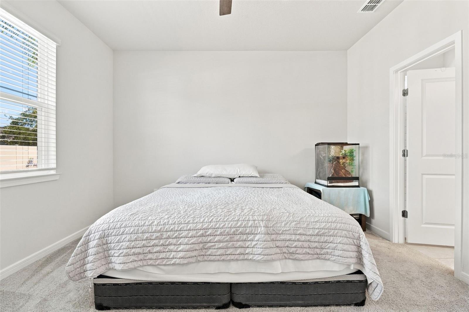 3545 Treetop St Property Photo 23