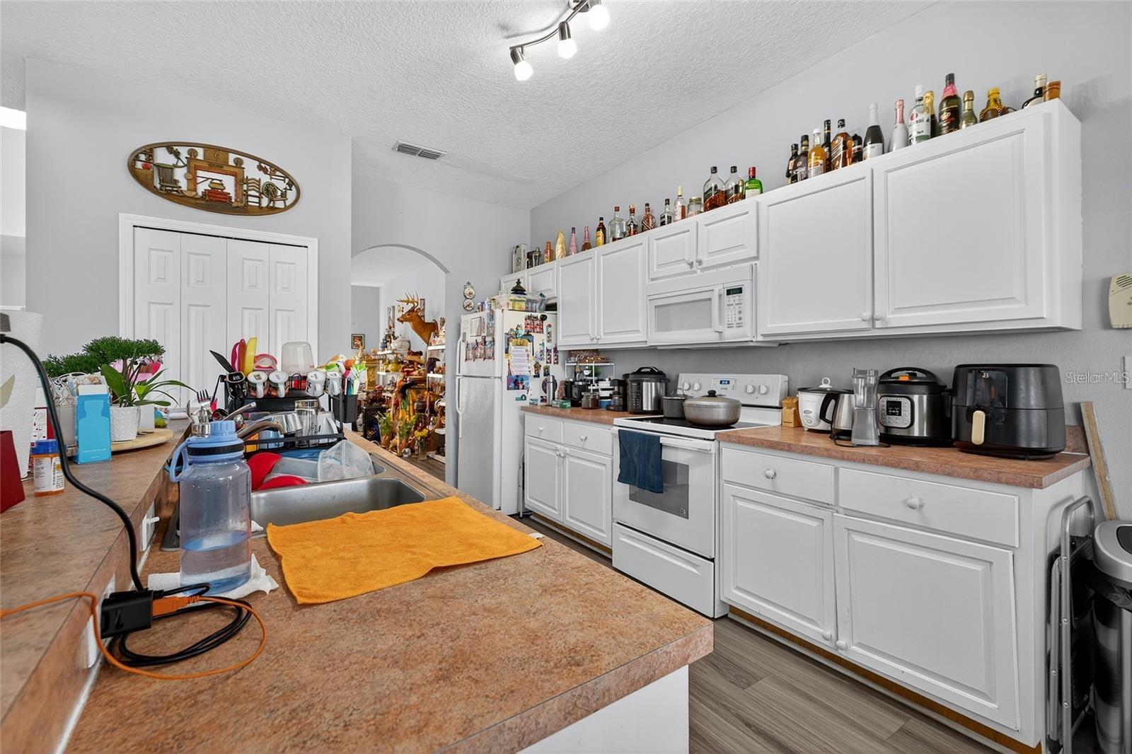 1202 Cumbrian Lakes Ct Property Photo 12
