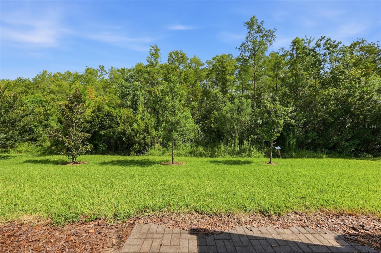 2559 Sedge Grass Way Property Photo 27
