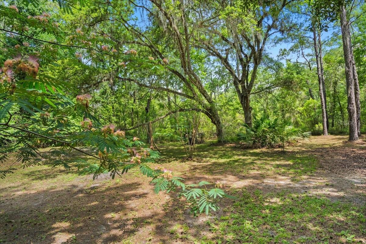 5526 Don Manuel Rd Property Photo 32