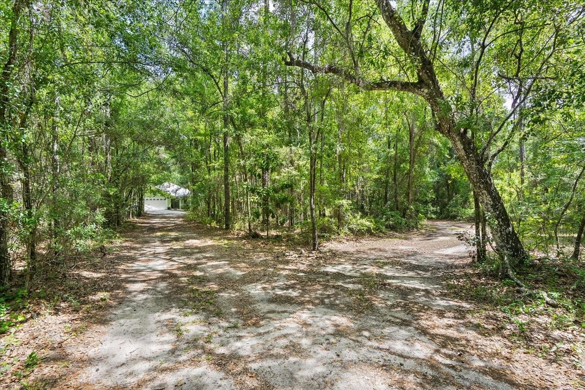 5526 Don Manuel Rd Property Photo 38