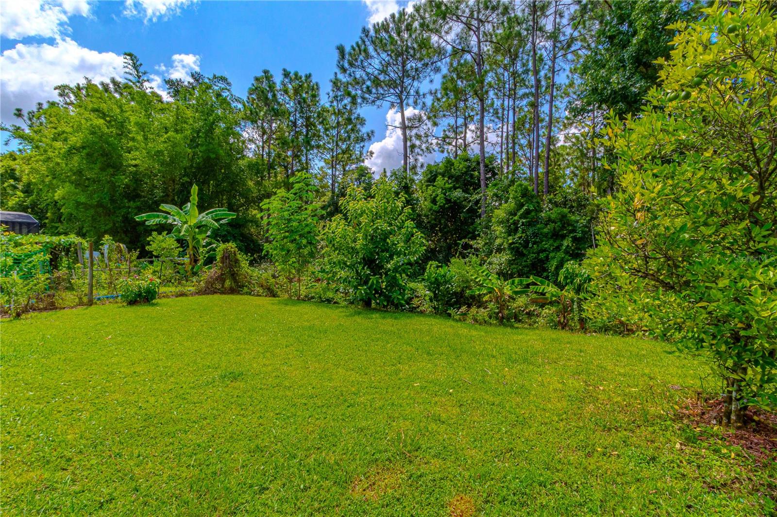 10462 Willow Ridge Loop Property Photo 2