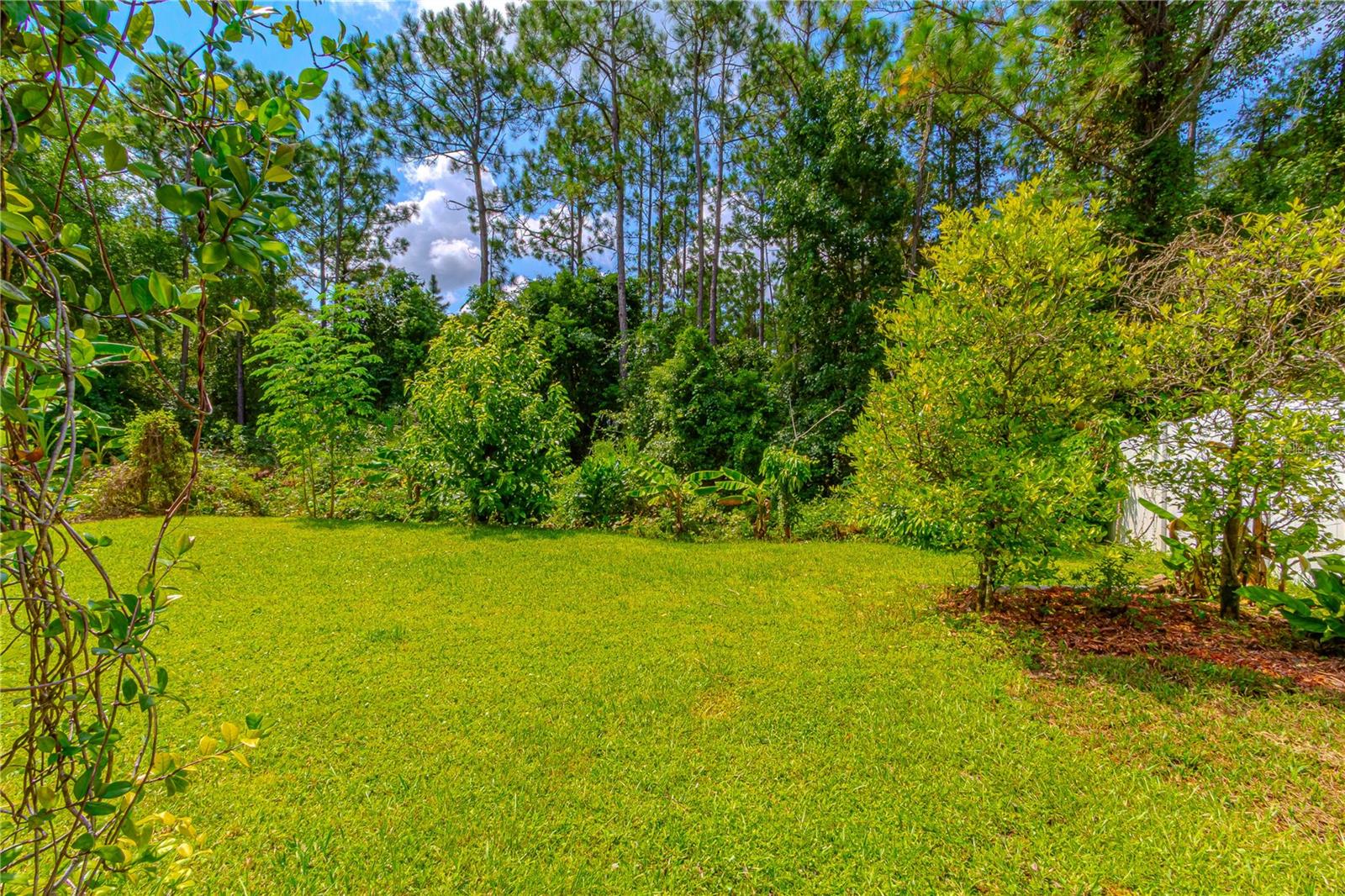 10462 Willow Ridge Loop Property Photo 34